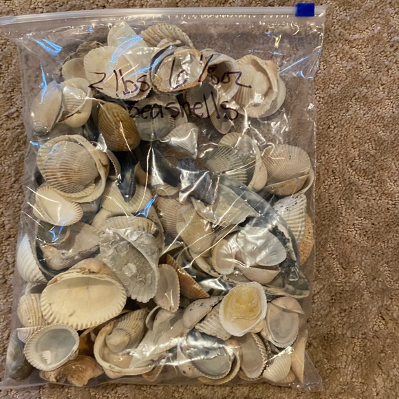 Other - Vintage natural seashells. 2 pound  6 ounce bag. Picked by myself 1980s.